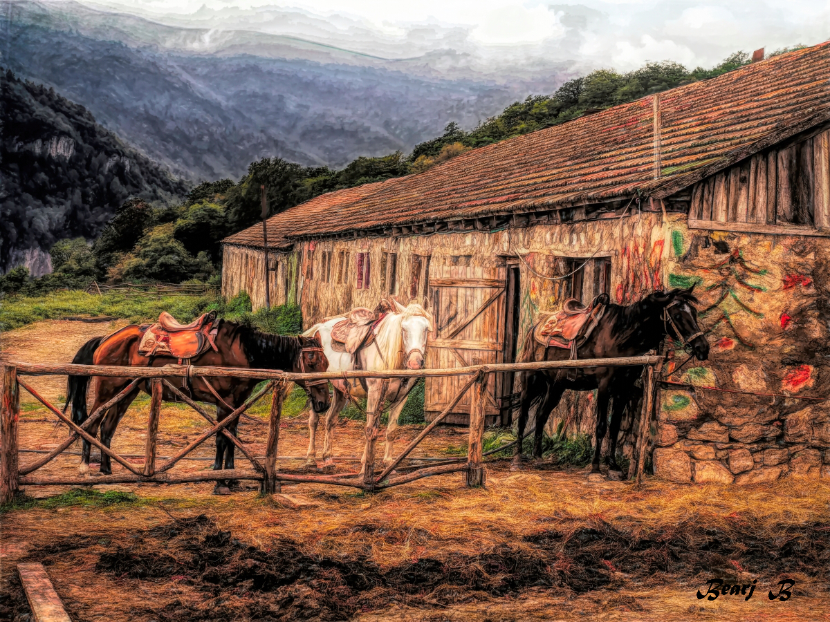 Alex Bahtiarian - Horses in Corral
